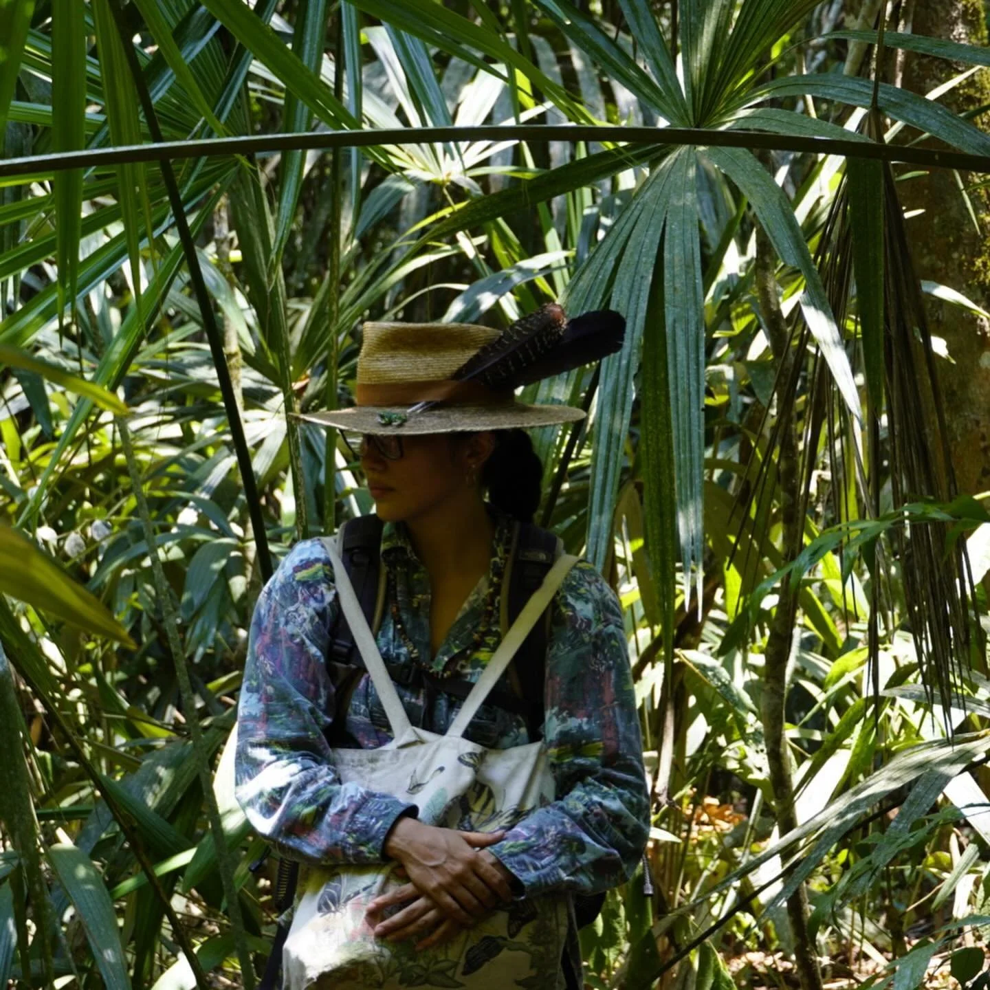 Jungle landscape in Guatemala